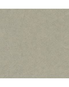 Tapete Grau, Silber Rasch Vinyltapete (1040352)