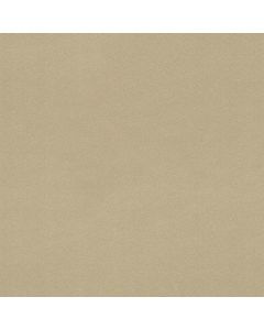 Tapete Grau, Silber Rasch Vinyltapete (1038781)