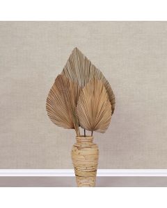 Tapete Beige, Creme Novamur Vliestapete (1041324)
