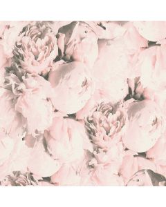 Tapete Pastellfarben, Rosa, Rose AS-Creation Vinyltapete (1029217)