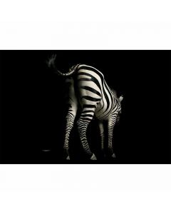 Digitaldruck Zebra livingwalls (1034241)