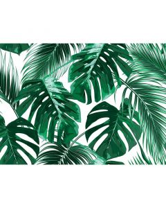 Digitaldruck Palm Leaves 1 livingwalls (1031893)