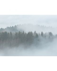 Digitaldruck Misty Forest livingwalls (CDD118-6047)
