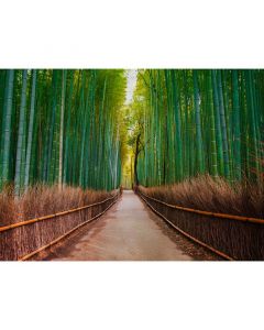 Digitaldruck Bambus Walk livingwalls (1031922)