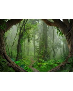 Digitaldruck Tropical Forest livingwalls (1031923)