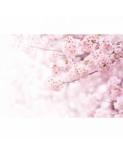 Digitaldruck Delicate Flowers livingwalls (1033991)