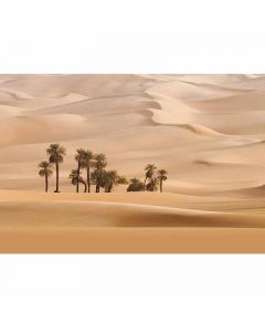Digitaldruck Dune livingwalls (1034001)