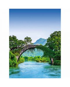 Digitaldruck Bridge Crosses A River In China livingwalls (1034021)