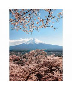 Digitaldruck Mount Fuji in Japan livingwalls (1034134)