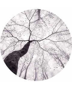 Digitaldruck Inside the Trees livingwalls (1034143)
