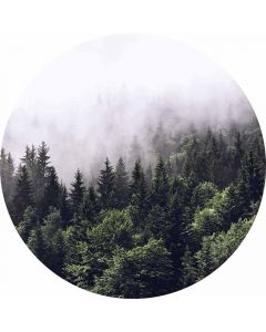 Digitaldruck Foggy Forest  livingwalls (1034145)