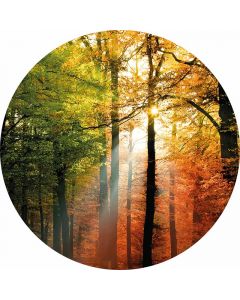 Digitaldruck Golden Autumn livingwalls (1034152)