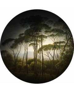Digitaldruck Umbrella Pines livingwalls (1034160)