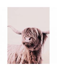 Fototapete Highland Cattle 1 livingwalls (CDD119-8219)