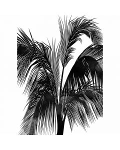 Digitaldruck Sunset Boulevard livingwalls (1036360)