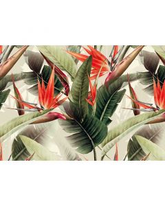 Digitaldruck Cuba AS-Creation (1036728)