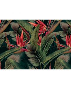 Digitaldruck Cuba AS-Creation (1036729)