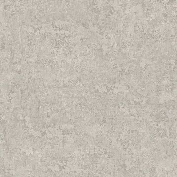 Tapete Grau, Silber Rasch-Textil Vliestapete (1042678)