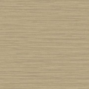 Tapete Braun Rasch-Textil Vliestapete (1042689)