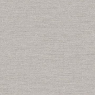 Tapete Grau, Silber Rasch-Textil Vliestapete (1042699)