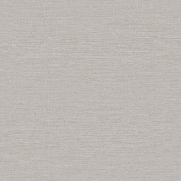 Tapete Grau, Silber Rasch-Textil Vliestapete (1042699)