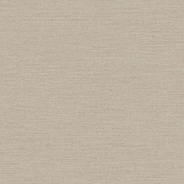 Tapete Braun Rasch-Textil Vliestapete (1042700)