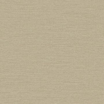 Tapete Braun Rasch-Textil Vliestapete (1042701)