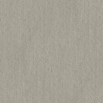 Tapete Grau, Silber Rasch-Textil Vliestapete (1036626)