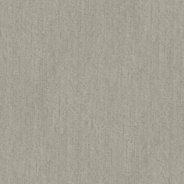 Tapete Grau, Silber Rasch-Textil Vliestapete (1036626)
