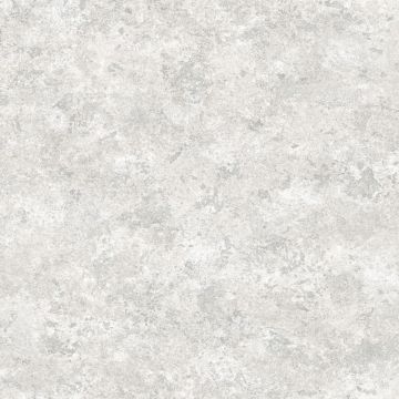 Tapete Grau, Silber Rasch-Textil Papiertapete (1025193)