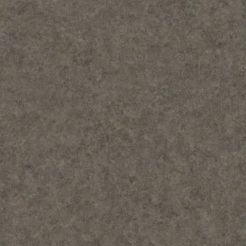 025356_1