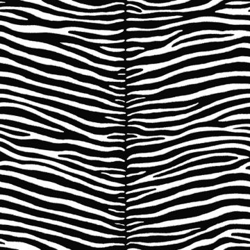 036807_1