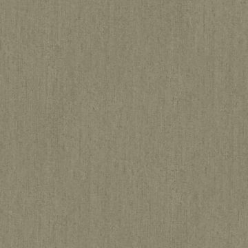 Tapete Braun Rasch-Textil Vliestapete (1036632)