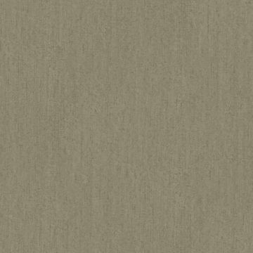 Tapete Braun Rasch-Textil Vliestapete (1036632)