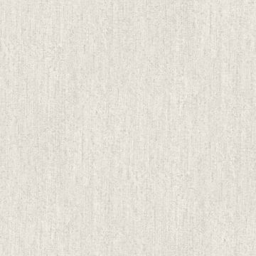 Tapete Grau, Silber Rasch-Textil Vliestapete (1036633)