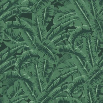 038985 Jungle Fever Rasch-Textil