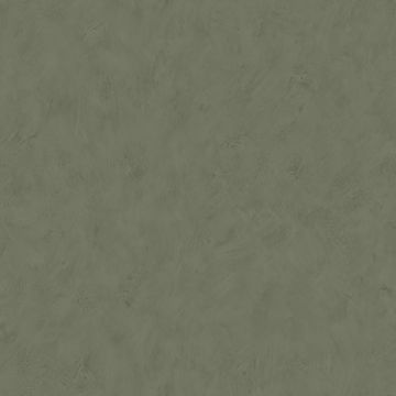 Tapete Grün Rasch-Textil Vliestapete (1025315)