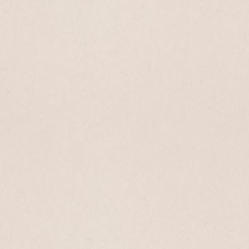 077018