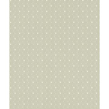 Tapete Grün Rasch-Textil Textiltapete (1025425)