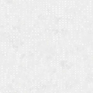 101501