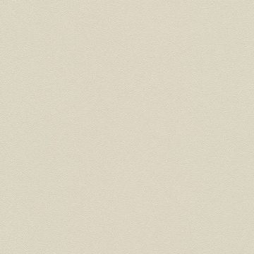 10335-14_scan_elledecoration3