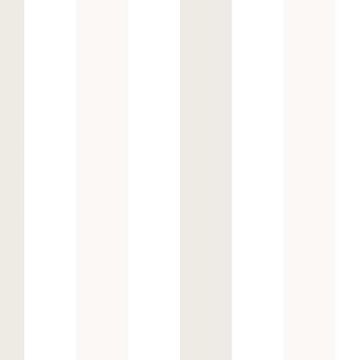 Tapete Grau, Silber, Weiß Rasch-Textil Papiertapete (1040648)