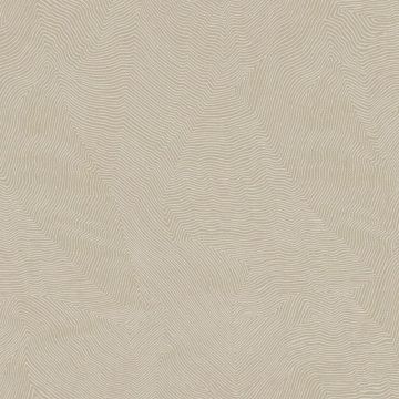 Tapete Gold, Kupfer Rasch-Textil Vliestapete (1040316)