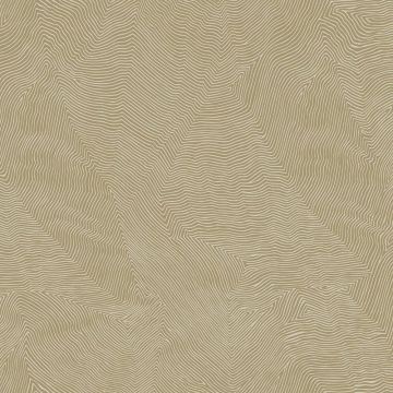 Tapete Gold, Kupfer Rasch Textil Vliestapete (1040299)