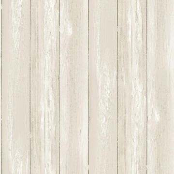 Tapete Beige, Creme Rasch-Textil Vliestapete (1038845)