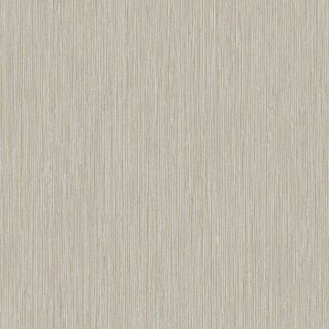 Tapete Grau, Silber Rasch-Textil Vliestapete (1040329)