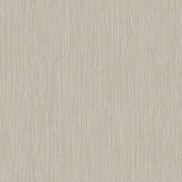 Tapete Grau, Silber Rasch-Textil Vliestapete (1040329)