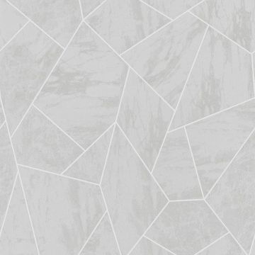 Tapete Grau, Silber Rasch-Textil Vliestapete (1040323)