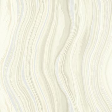 121205-1