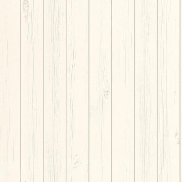 128850_530_530_2